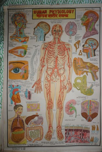 Affiche scolaire inde - affiche, xx°