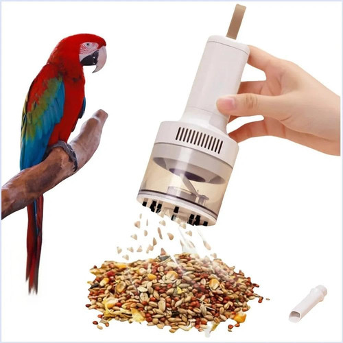 Bird food electric - bird,