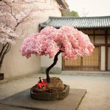 Modèle d'arbre Cerisier en