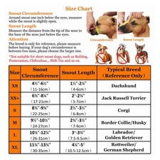 (L) Muselière Pour Chien