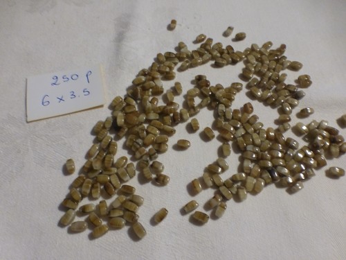 Lot 250 perle - lot, de