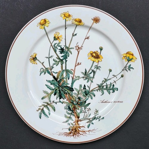 Sublime assiette plate signée - assiette,