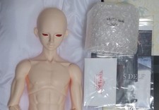 Luts Senior65 Delf Terra +