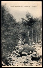 CPA  --  FORET VIZZAVONA RUISSEAU FULMINATO   309.D