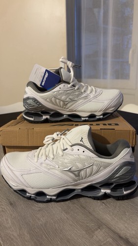 Mizuno wave prophecy - mizuno,