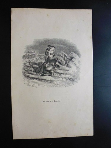 Gravure19 fable la - gravure19°:fable, de
