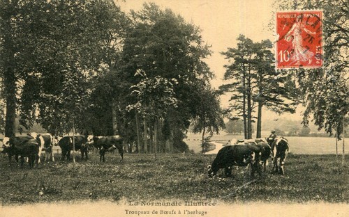 Carte agriculture normandie - carte,
