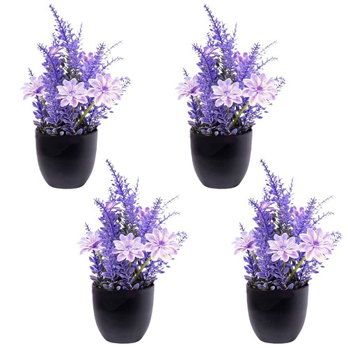 Fausse plantes - fausse,
