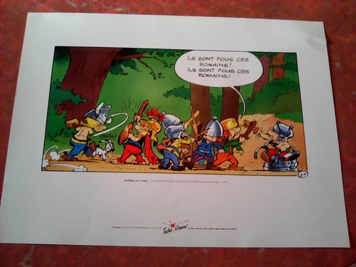Sérigraphie astérix corse - astérix,