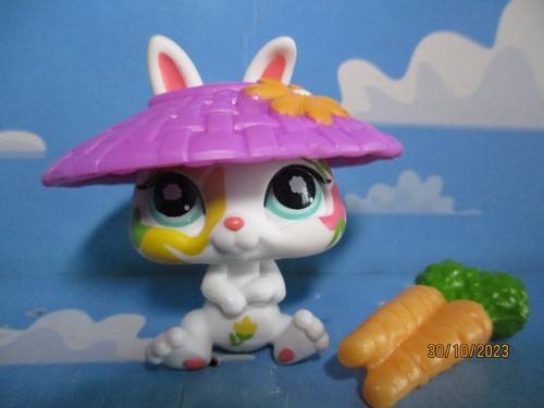 Petshop lapin nain 1067 - petshop, +