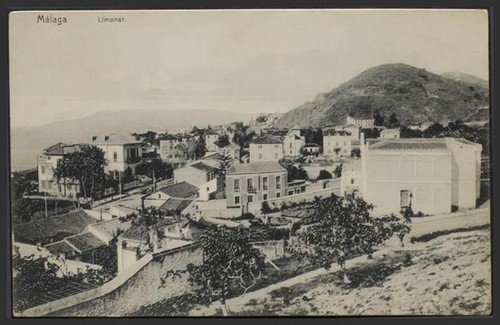 Malaga limonaire - malaga., limonaire.