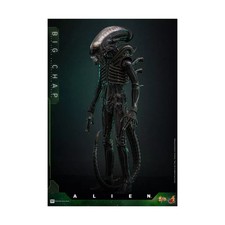 Précommande Q1 2027 Hot Toys