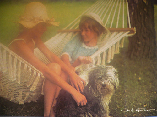 Carte postale david - ,