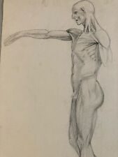 Beau Dessin écorché anatomie à la main crayon Muscle 1950 Curiosité Corps Art
