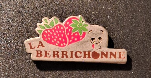 Pin berrichonne - pin's,