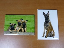 lot 2 Magnets / aimant 7,8 cm