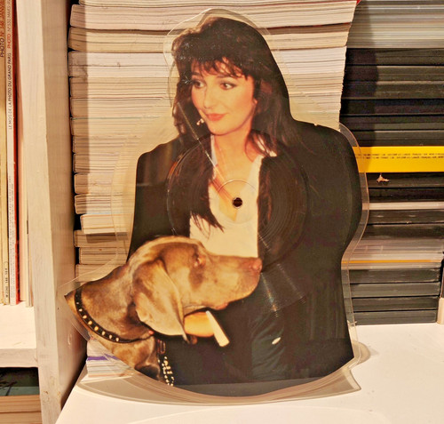 Kate bush picture - bush, disc