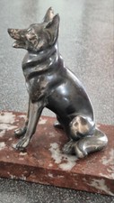 Chien berger allemand regul - chien,