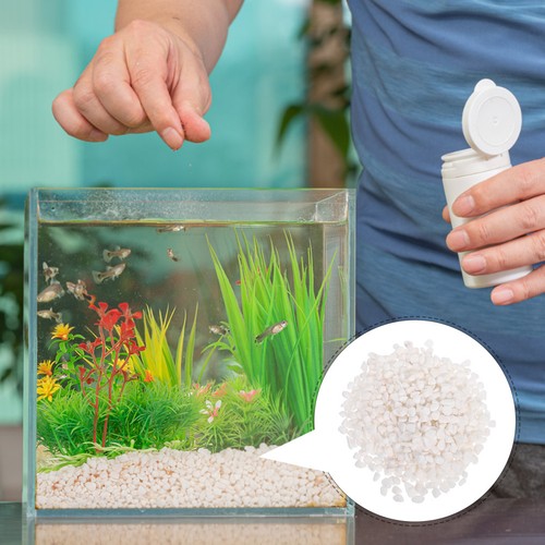 Pierres pour aquarium cailloux - pour,