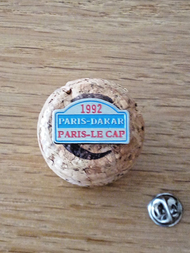 Pins collector rare