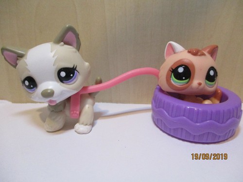 Petshop duo chien husky - petshop,