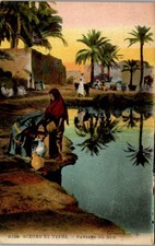 ALGERIE SCENES ET TYPES  carte postale ancienne [DTZ-11447]