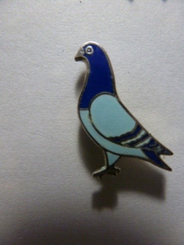 Pin pigeon - pin's,