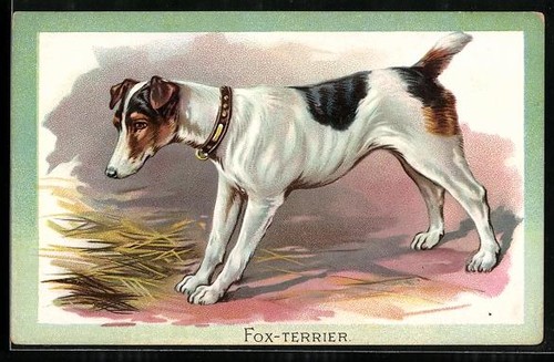 Carte postale gaufrée fox - postale,