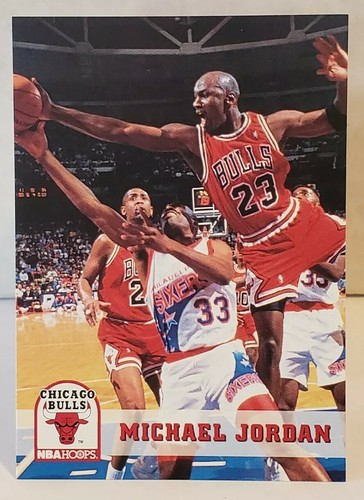 1993 hoops michael - 1993-94,