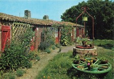 17 L ILE DE RE SUZY SOLIDOR