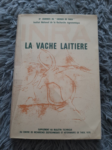 Vache laitiere ixe - vache, /
