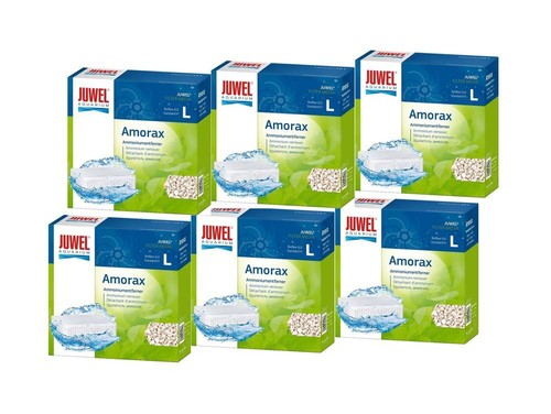 Juwel amorax pack 6 - amorax,