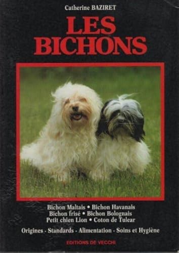 Les bichons bichon maltais - bichons.,