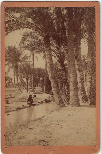 Algérie photo 19ème - , oasis