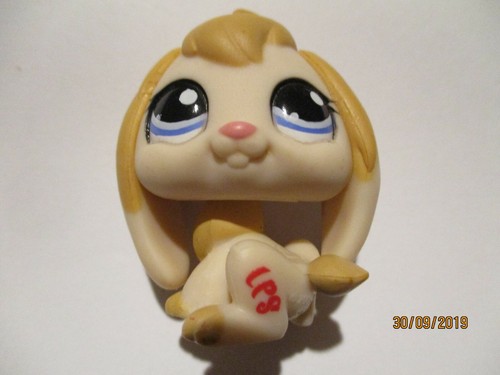 Petshop lapin belier 1039 - lapin,