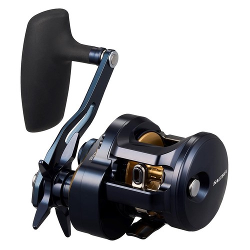 Daiwa saltiga 300h reel - saltiga,