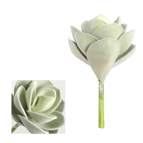 Fausse succulente réaliste - , 16