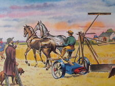 Guy Sabran Javeleuse sur terrain 1871 Moissonneur de l'Univers 1959 Mc Cormick