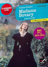 Madame Bovary: Suivi des actes