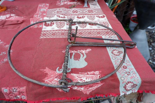Vintage piége rond - vintage, à