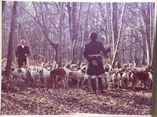 PHOTO Argentique, RC	France	chasse à courre vénerie cheval	24X30cm	1970