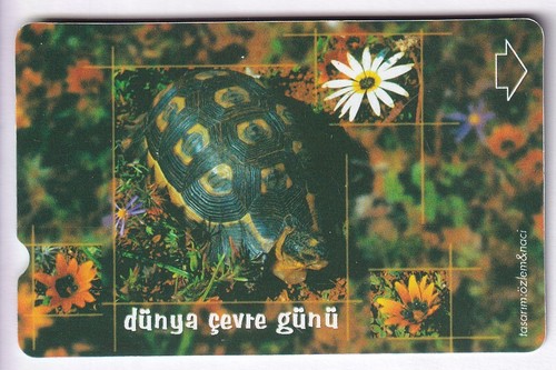 Test carte card - test, 30u