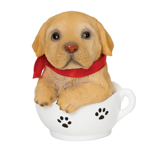 Précieux chiot golden - chiot,