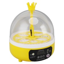 Mini Egg Incubator For Home Automatic Temperature Humidity Eggs