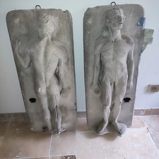 Paire D Écorché En Platre