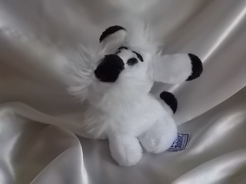 Doudou peluche chien blanc - peluche,,