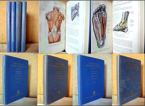 Lehrbuch der krankengymnastik - lehrbuch,