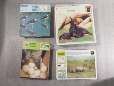Lot Fiches Animaux environ 370