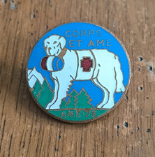 Insigne AME 75  Ambulance