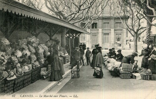Carte cannes marché aux - cannes,